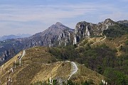 57 Traccia tagliafuoco verso i monti tra Val Serina e Val Brembana